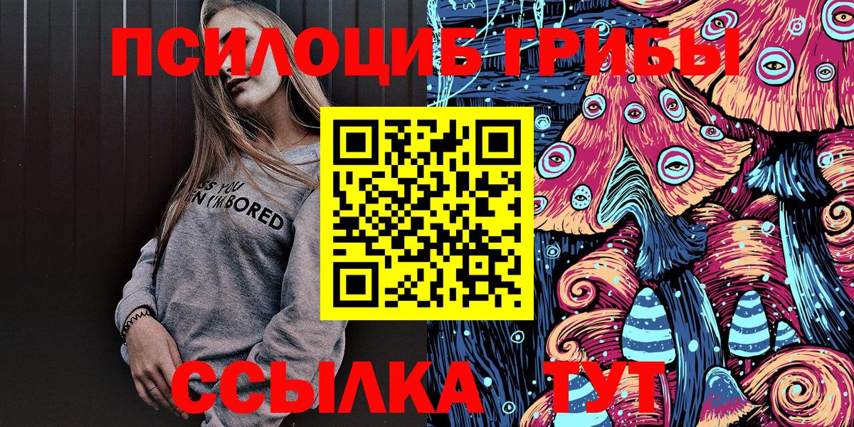 Псилоцибиновые грибы Cubensis Энгельс